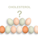 コレステロール