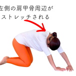 肩甲骨周辺ストレッチ