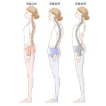 骨盤の姿勢