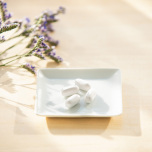 佐田真由美さんに聞く「私と家族のウェルネスな毎日を守る５つの約束」