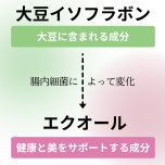 佐田真由美さんに聞く「私と家族のウェルネスな毎日を守る５つの約束」