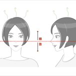 頭は耳たぶよりも上にある