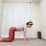 四つ這いの体勢