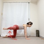 四つ這いから、左膝を曲げたまま真横に開いた体勢