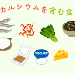 カルシウムを含む食品のイラスト