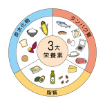 三大栄養素
