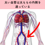血流のイメージ