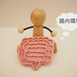 腸内環境