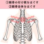 鎖骨ほぐし