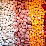 いろいろな豆