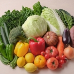 いろいろな野菜