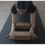 前鋸筋プランクPONT2