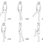 股関節の可動域