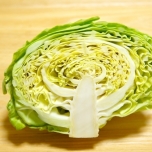 春キャベツ