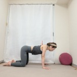 左右の肩甲骨を寄せた四つ這いの体勢