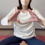 手の形