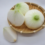 新玉ねぎ