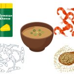 みそ汁　カルシウム