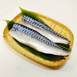 青魚
