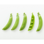 スナップエンドウ