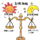 自律神経イラスト