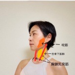 筋肉