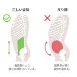 下腹部
