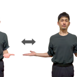 外旋