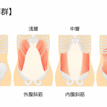 腹筋