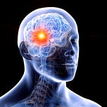 AdobeStock