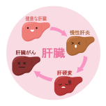 肝機能
