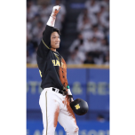 写真:ⓒHANSHIN Tigers