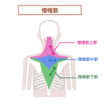 AdobeStock