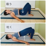 腸活のための骨盤調整ストレッチ