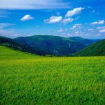 AdobeStock