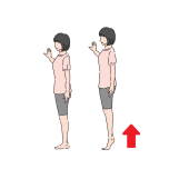 カーフレイズ