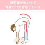 前屈の動き