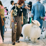 オシャレな譲渡会