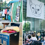 オシャレな譲渡会