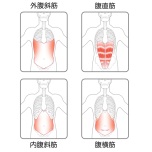 腹筋