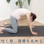 キャットカウ