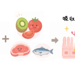 鉄の吸収UPのイラスト