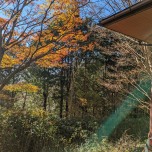 写真提供: 狩野 真実