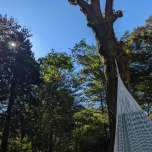 写真提供: 狩野 真実