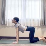 キャット&カウ