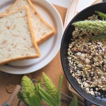 ライ麦