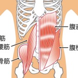 腸腰筋