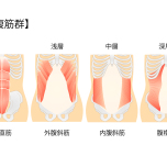 腹筋