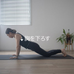 scapla plank1