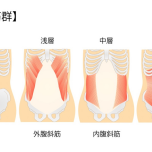 腹筋群